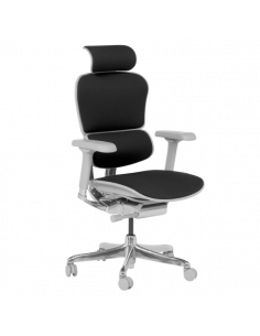 Ергономичен стол  ⋙ на цена от 1389.60лв  - Allegro-bg.com