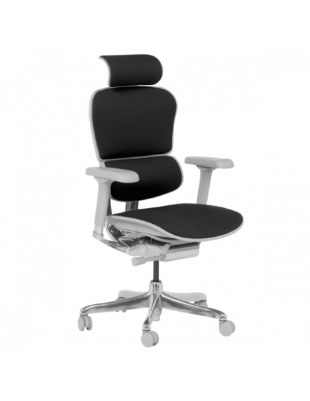 Ергономичен стол  ⋙ на цена от 1389.60лв  - Allegro-bg.com