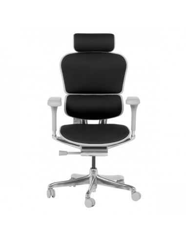 Ергономичен стол  ⋙ на цена от 1389.60лв  - Allegro-bg.com