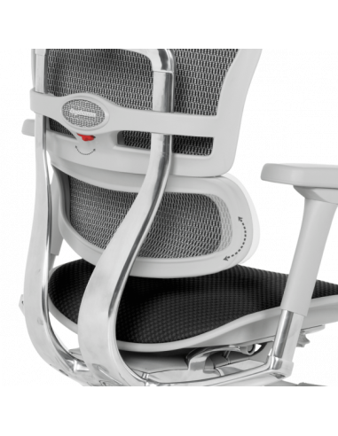 Ергономичен стол  ⋙ на цена от 1389.60лв  - Allegro-bg.com