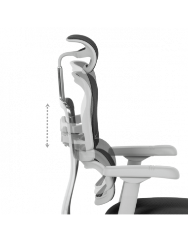 Ергономичен стол  ⋙ на цена от 1389.60лв  - Allegro-bg.com