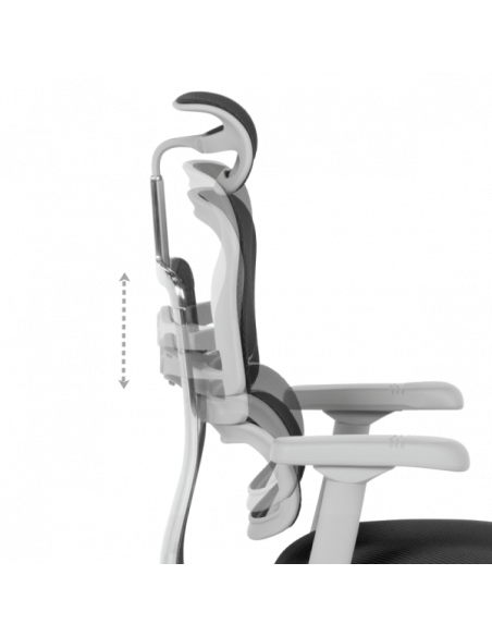 Ергономичен стол  ⋙ на цена от 1389.60лв  - Allegro-bg.com