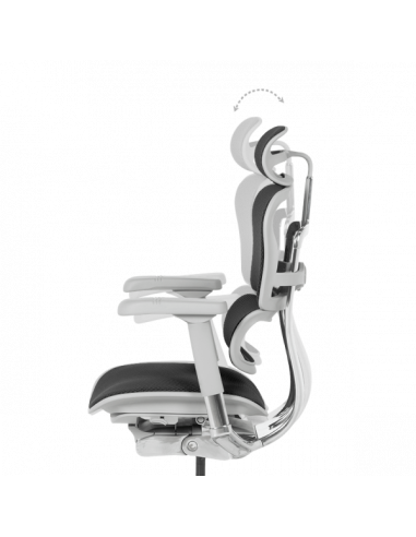 Ергономичен стол  ⋙ на цена от 1389.60лв  - Allegro-bg.com