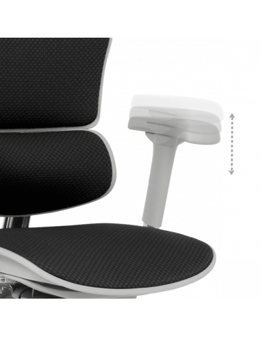 Ергономичен стол  ⋙ на цена от 1389.60лв  - Allegro-bg.com