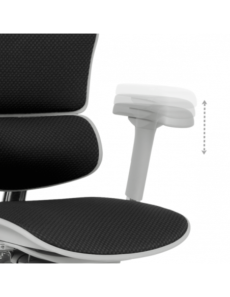 Ергономичен стол  ⋙ на цена от 1389.60лв  - Allegro-bg.com