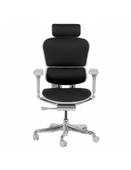 Ергономичен стол  ⋙ на цена от 1389.60лв  - Allegro-bg.com