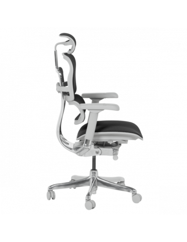 Ергономичен стол  ⋙ на цена от 1389.60лв  - Allegro-bg.com