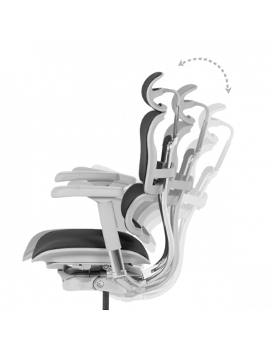 Ергономичен стол  ⋙ на цена от 1389.60лв  - Allegro-bg.com