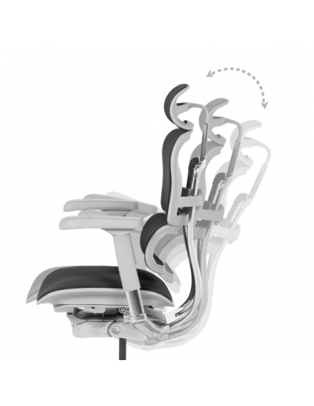 Ергономичен стол  ⋙ на цена от 1389.60лв  - Allegro-bg.com