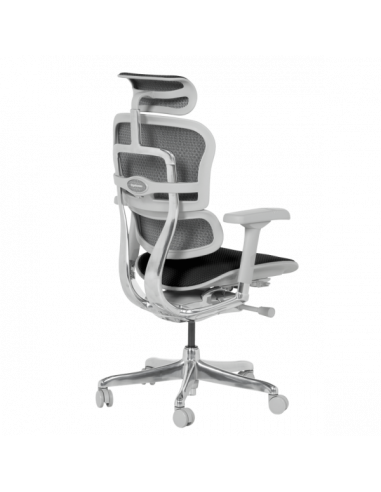 Ергономичен стол  ⋙ на цена от 1389.60лв  - Allegro-bg.com