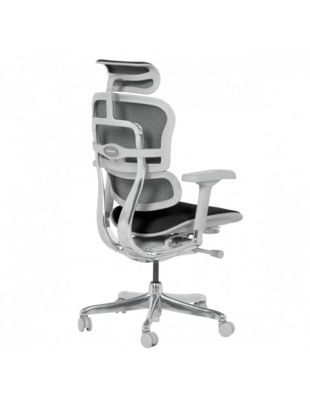 Ергономичен стол  ⋙ на цена от 1389.60лв  - Allegro-bg.com