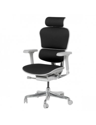 Ергономичен стол  ⋙ на цена от 1389.60лв  - Allegro-bg.com