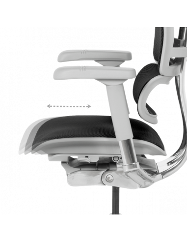 Ергономичен стол  ⋙ на цена от 1389.60лв  - Allegro-bg.com