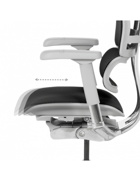 Ергономичен стол  ⋙ на цена от 1389.60лв  - Allegro-bg.com