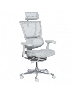 Ергономичен стол  ⋙ на цена от 1188.00лв  - Allegro-bg.com