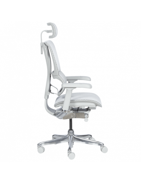 Ергономичен стол  ⋙ на цена от 1188.00лв  - Allegro-bg.com