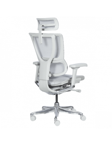 Ергономичен стол  ⋙ на цена от 1188.00лв  - Allegro-bg.com