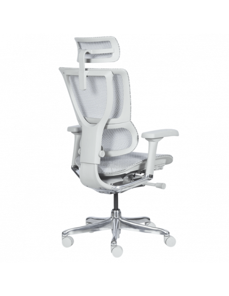 Ергономичен стол  ⋙ на цена от 1188.00лв  - Allegro-bg.com