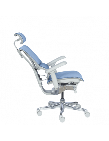 Ергономичен стол  ⋙ на цена от 1188.00лв  - Allegro-bg.com