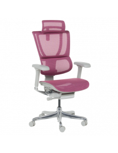 Ергономичен стол  ⋙ на цена от 1188.00лв  - Allegro-bg.com