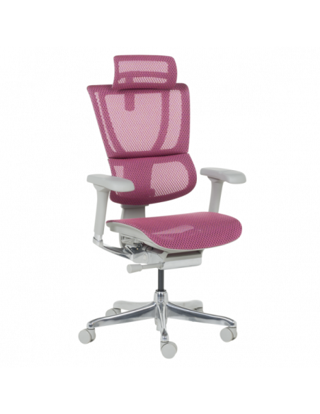 Ергономичен стол  ⋙ на цена от 1188.00лв  - Allegro-bg.com