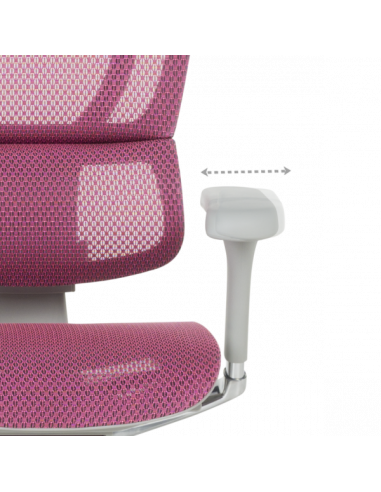 Ергономичен стол  ⋙ на цена от 1188.00лв  - Allegro-bg.com