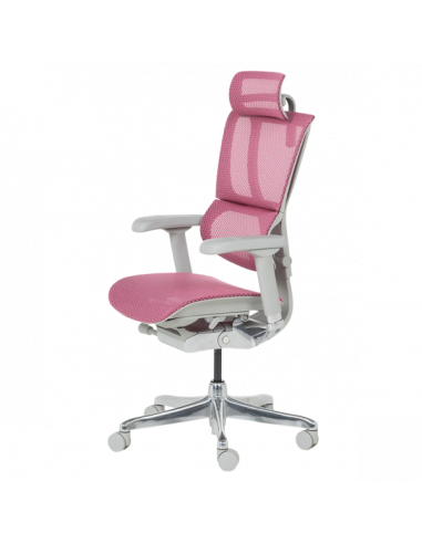 Ергономичен стол  ⋙ на цена от 1188.00лв  - Allegro-bg.com