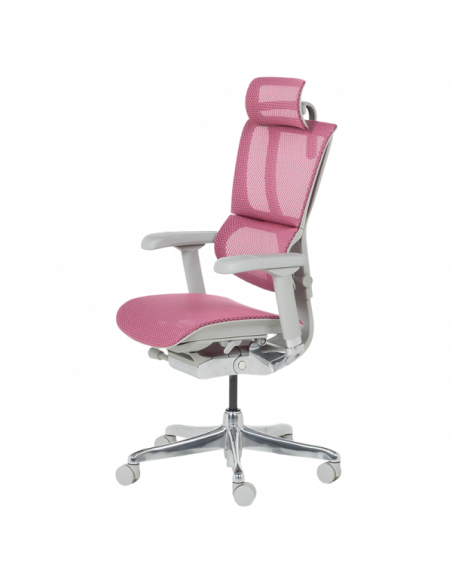 Ергономичен стол  ⋙ на цена от 1188.00лв  - Allegro-bg.com