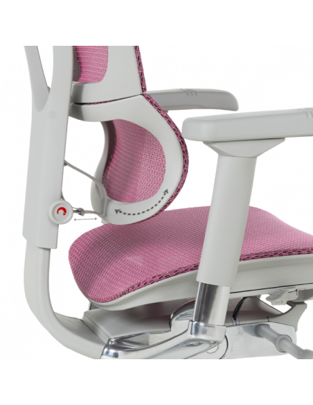 Ергономичен стол  ⋙ на цена от 1188.00лв  - Allegro-bg.com