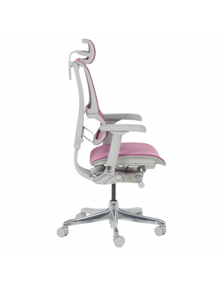 Ергономичен стол  ⋙ на цена от 1188.00лв  - Allegro-bg.com