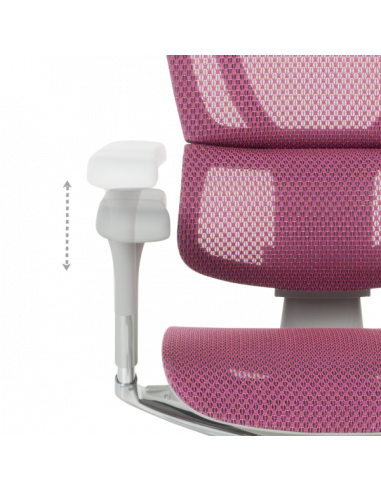 Ергономичен стол  ⋙ на цена от 1188.00лв  - Allegro-bg.com