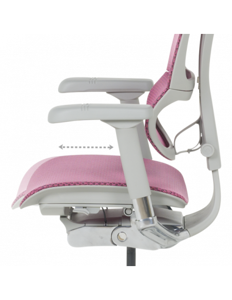 Ергономичен стол  ⋙ на цена от 1188.00лв  - Allegro-bg.com