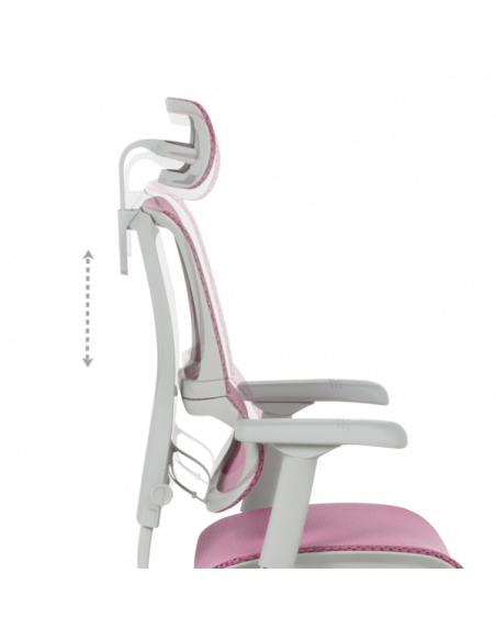 Ергономичен стол  ⋙ на цена от 1188.00лв  - Allegro-bg.com