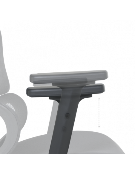 Ергономичен стол Carmen  ⋙ на цена от 378.00лв  - Allegro-bg.com