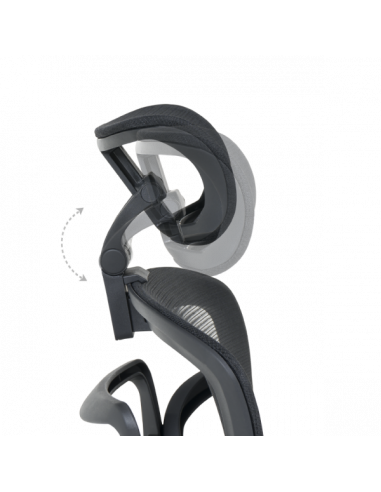 Ергономичен стол Carmen  ⋙ на цена от 378.00лв  - Allegro-bg.com