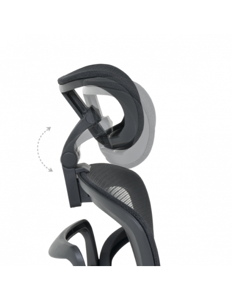 Ергономичен стол Carmen  ⋙ на цена от 378.00лв  - Allegro-bg.com