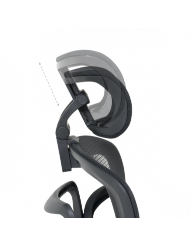 Ергономичен стол Carmen  ⋙ на цена от 378.00лв  - Allegro-bg.com