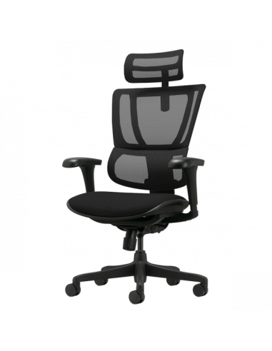 Ергономичен стол  ⋙ на цена от 636.00лв  - Allegro-bg.com