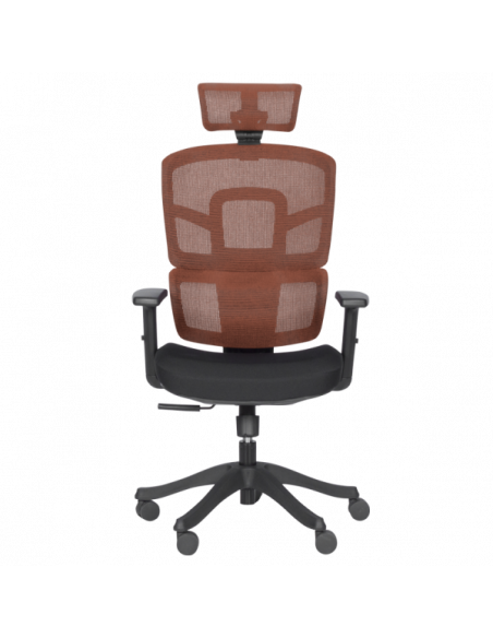 Ергономичен стол Carmen  ⋙ на цена от 148.80лв  - Allegro-bg.com