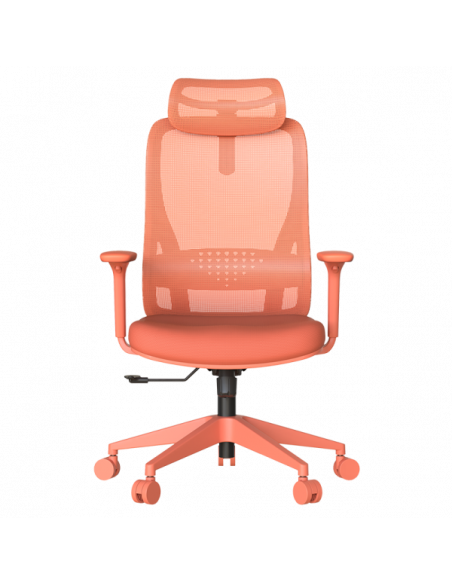 Ергономичен стол MASALI  ⋙ на цена от 186.00лв  - Allegro-bg.com