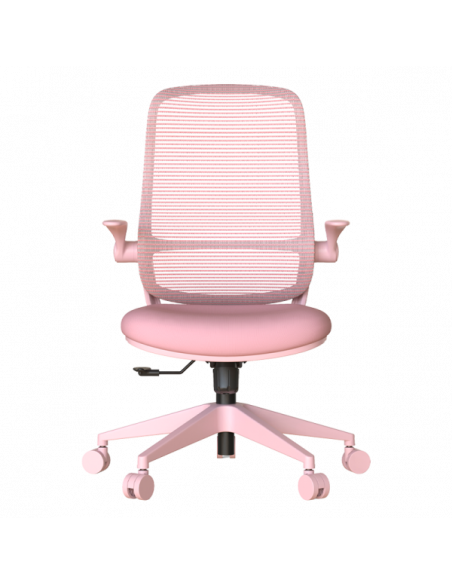 Ергономичен стол ASTARA  ⋙ на цена от 139.20лв  - Allegro-bg.com