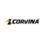 Corvina